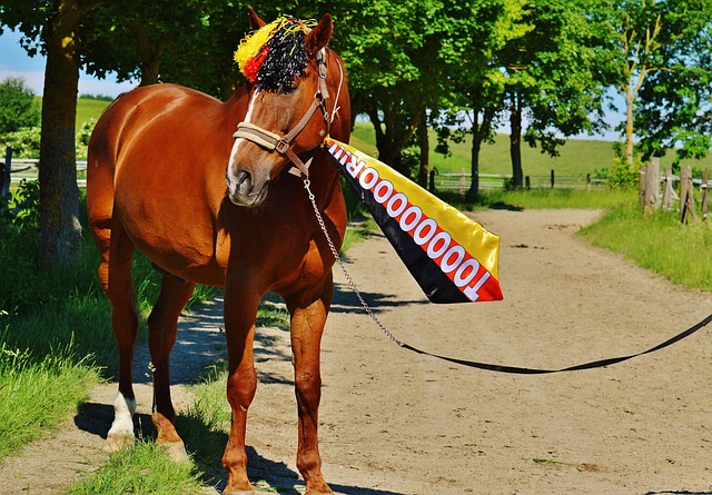 的要求非常 的要求非常