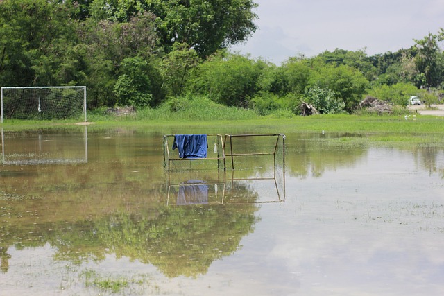 了一幅引人 了一幅引人