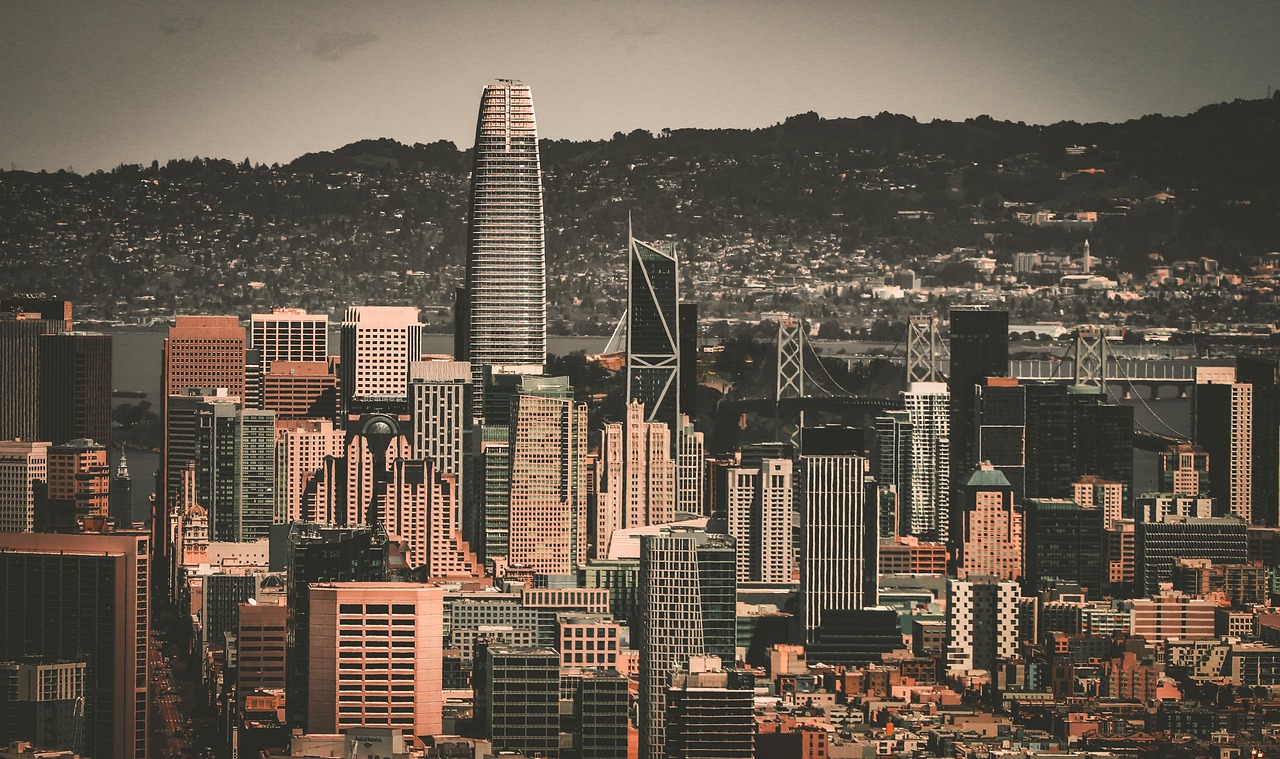 无疑是对他 无疑是对他